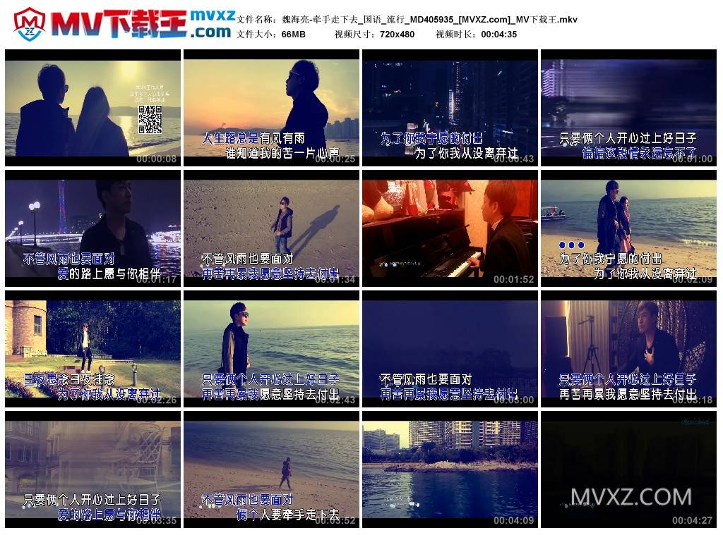 魏海亮-牵手走下去_国语_流行_MD405935